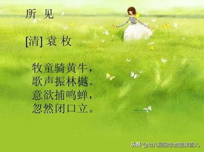 《童趣詩(shī)集》· 所見(jiàn)