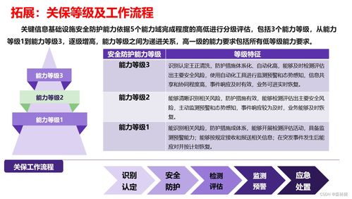 信息系統(tǒng)網(wǎng)絡(luò)安全方案 三保一評(píng)與專業(yè)軟件開發(fā)策略